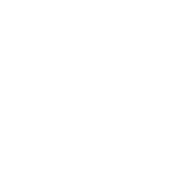 Flight Icon